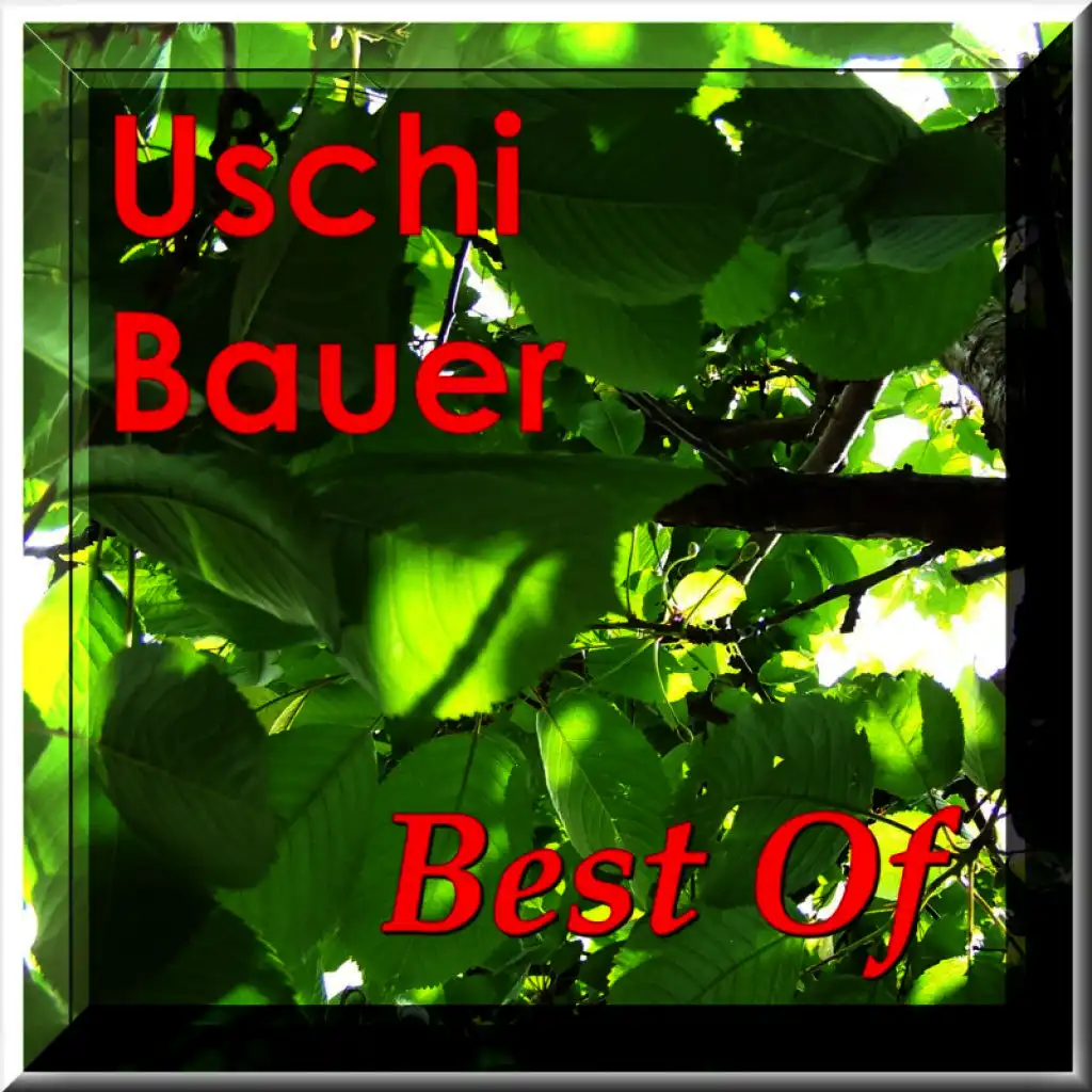 Best of Uschi Bauer