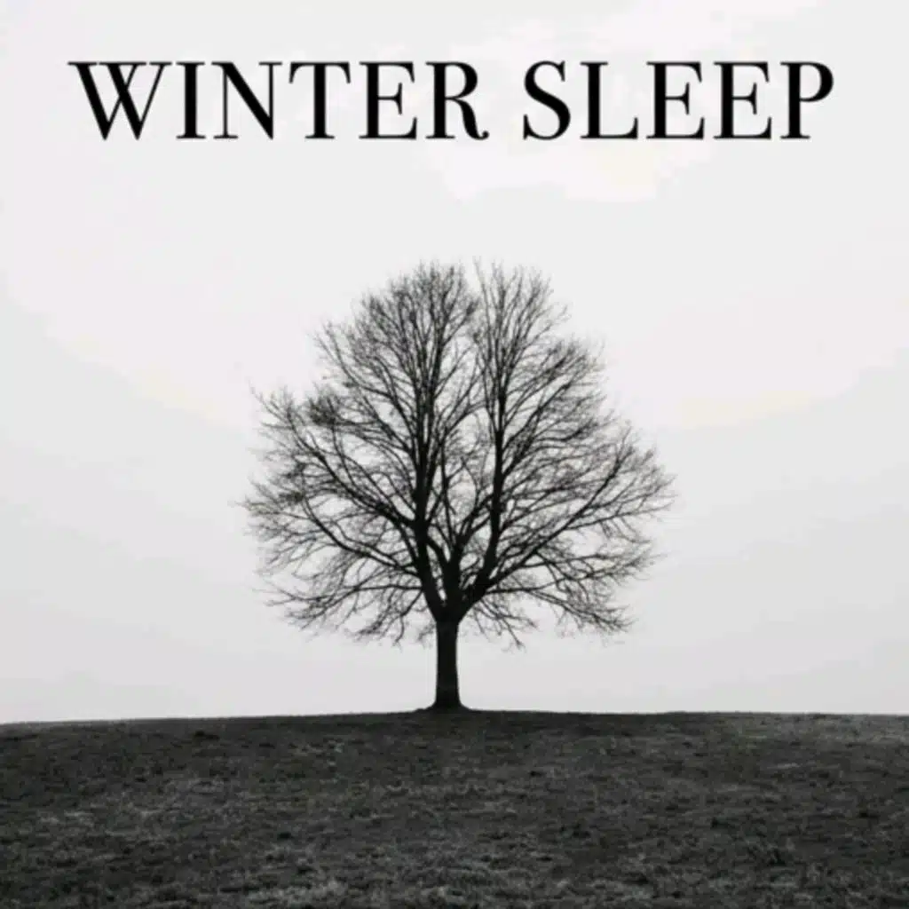 Winter Sleep
