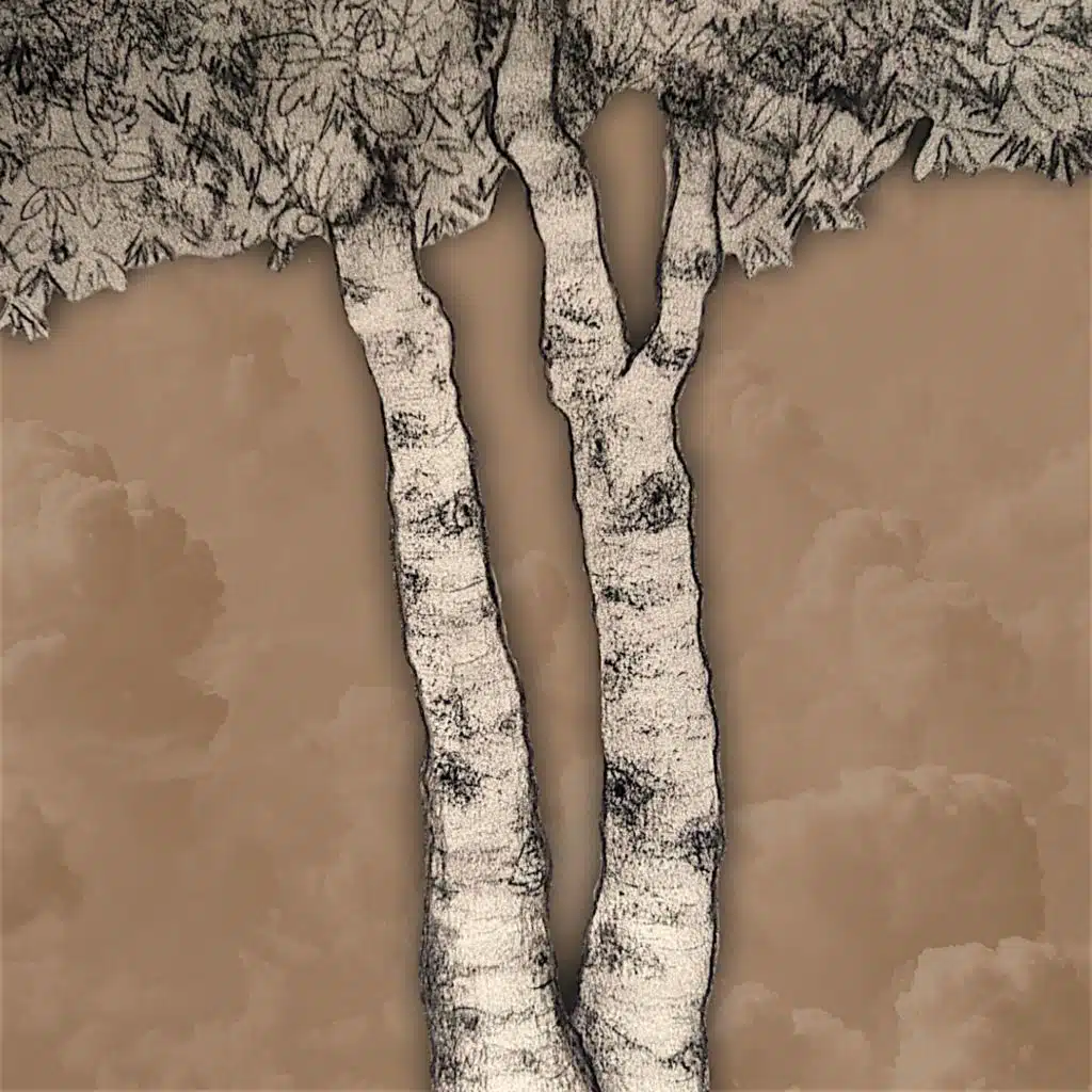 Birches