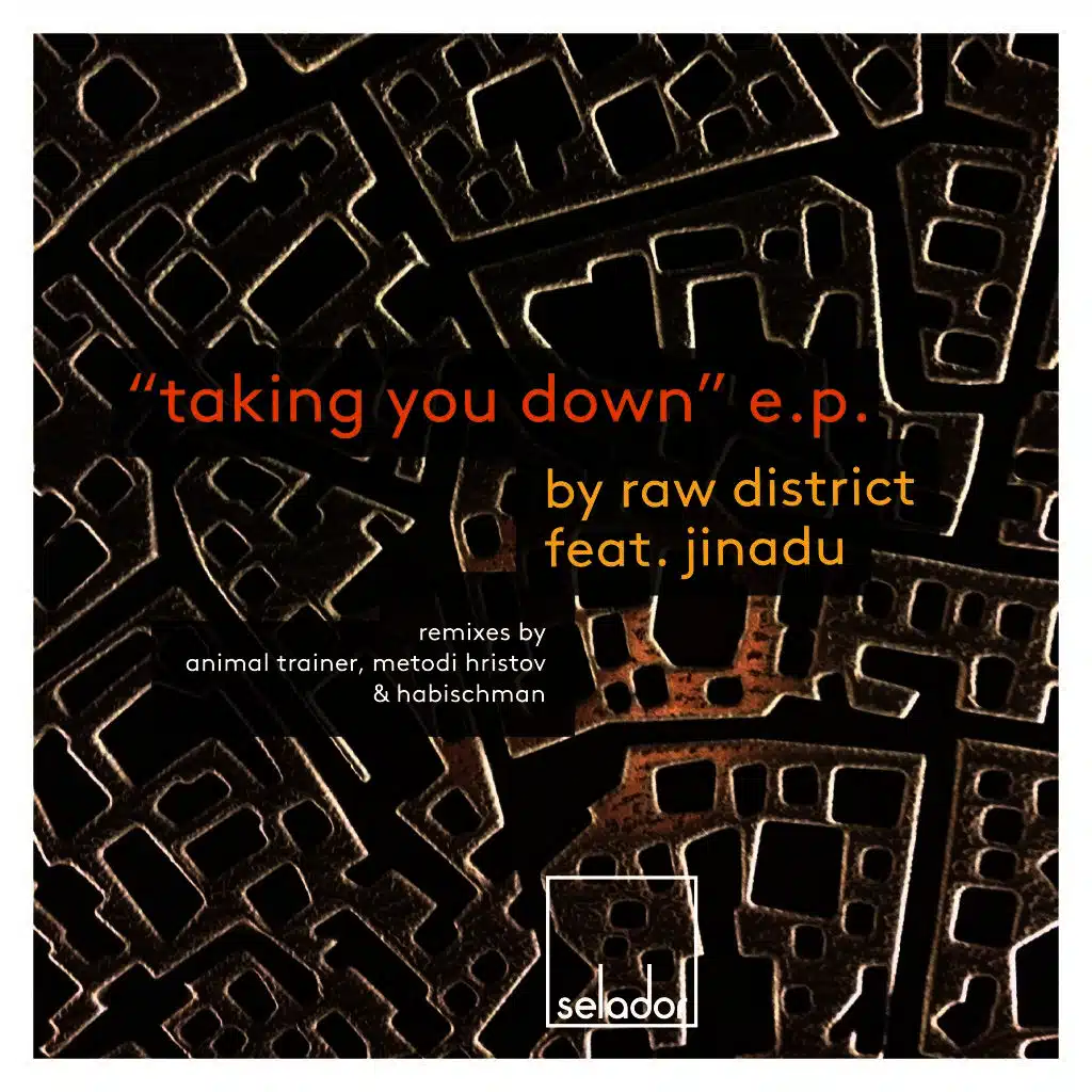 Taking You Down (Animal Trainer Remix)