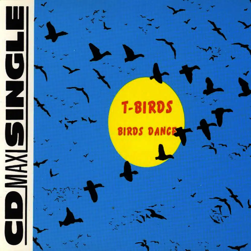 Birds Dance