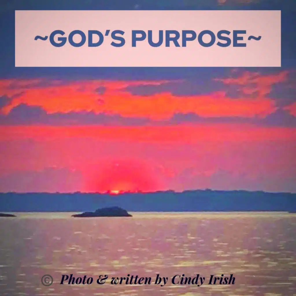 Gods Purpose