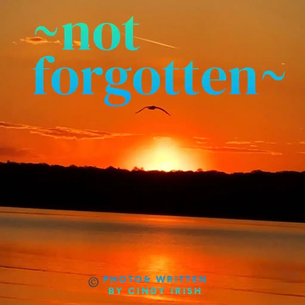 Not Forgotten