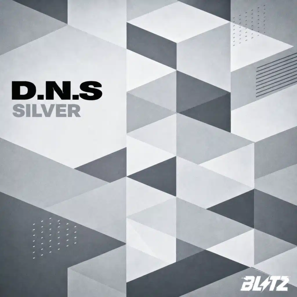 D.N.S