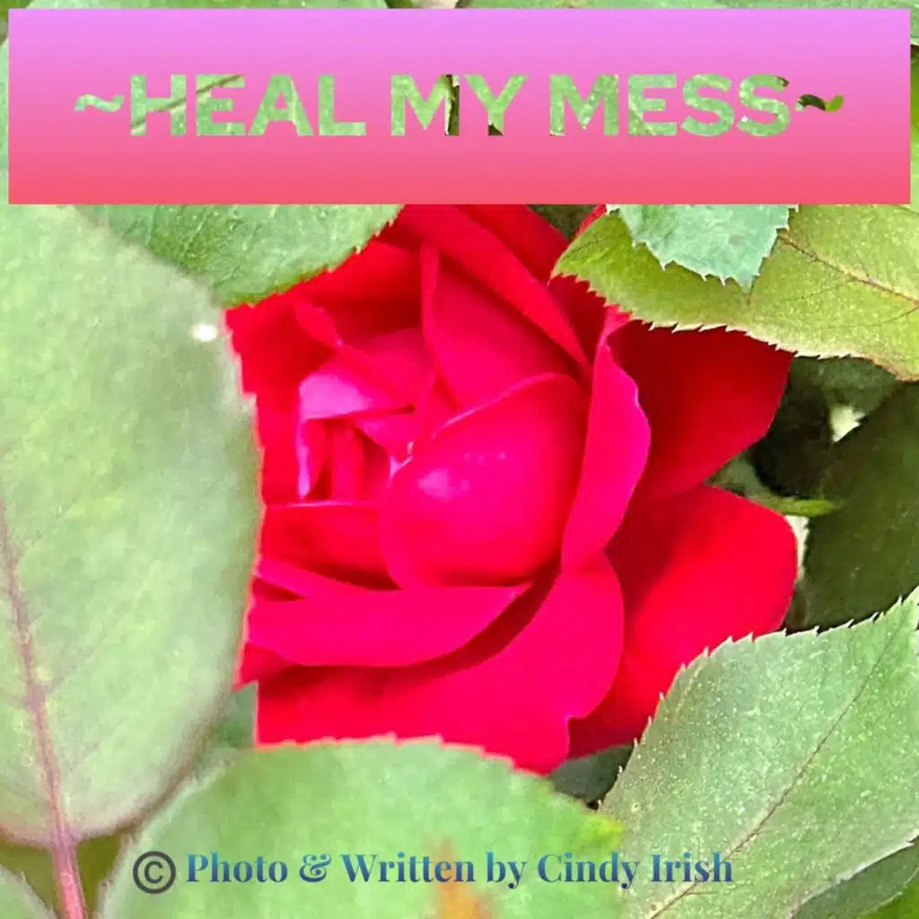 Heal my mess