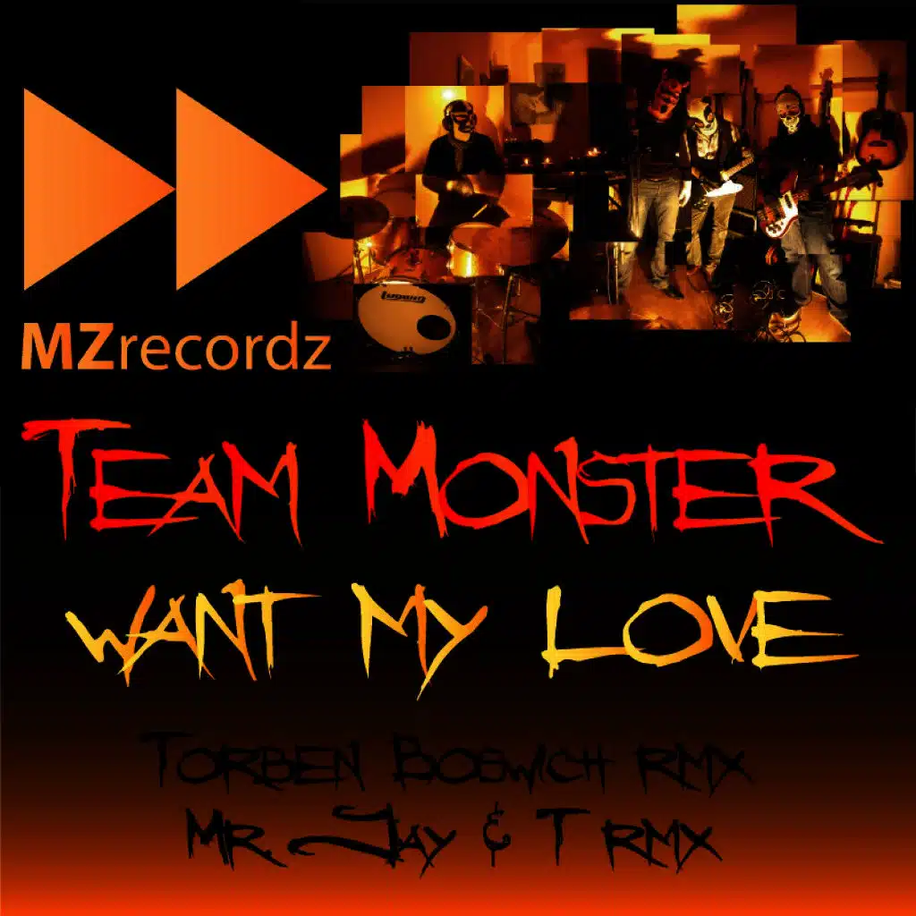 Want My Love (Mr.Jay & T RMX)
