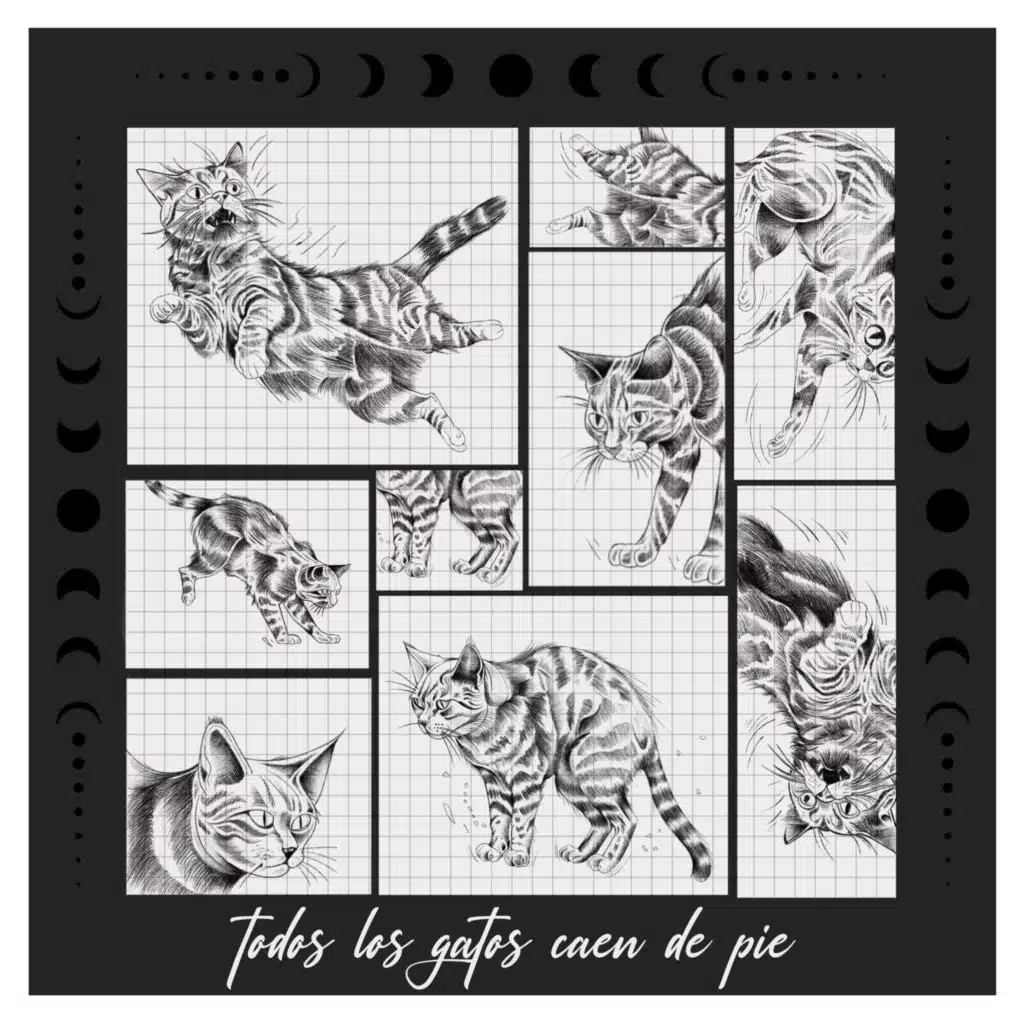 TODOS LOS GATOS CAEN DE PIE