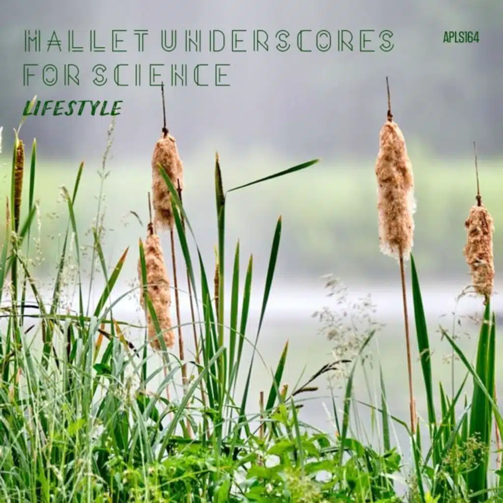 Mallet Underscores For Science