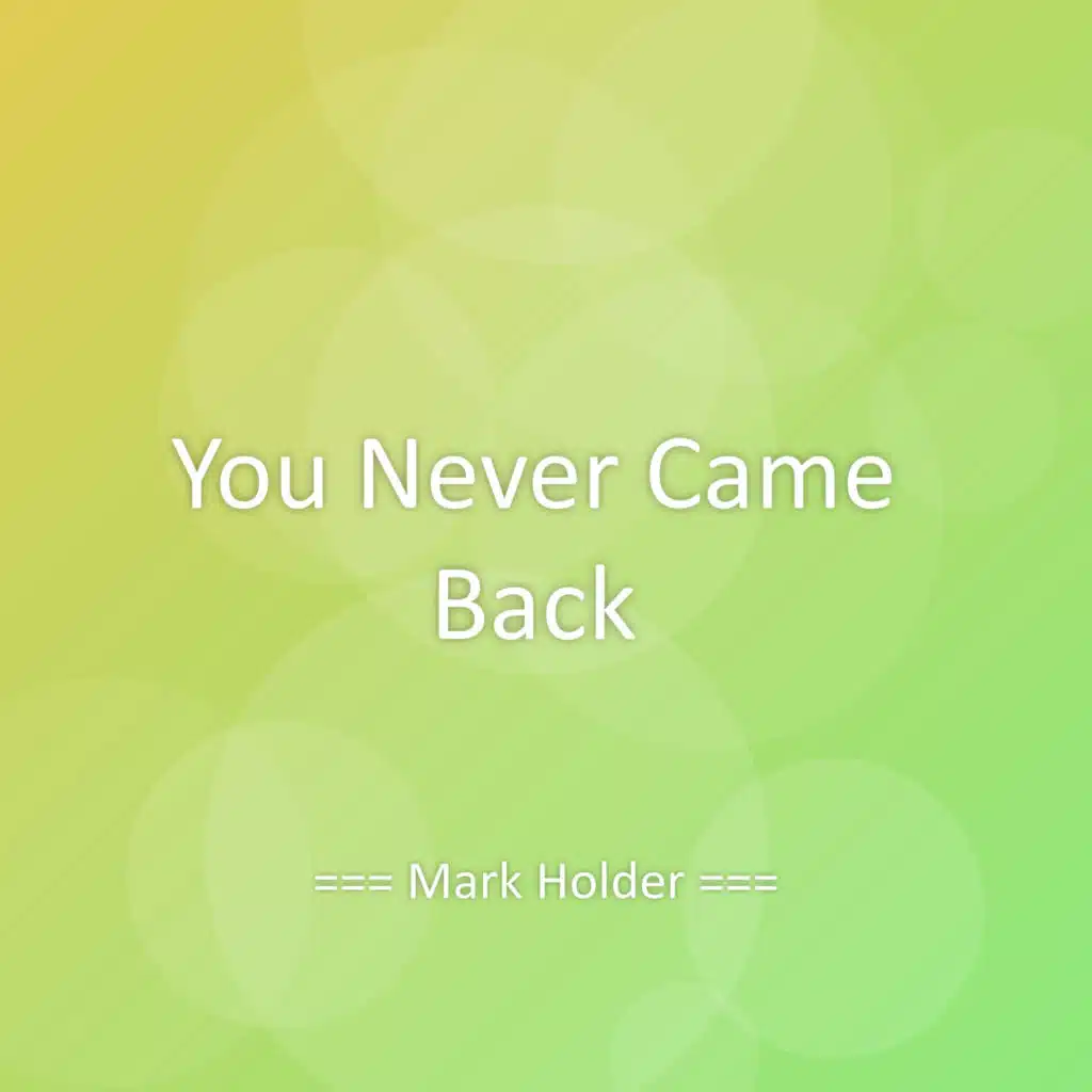 You Never Came Back