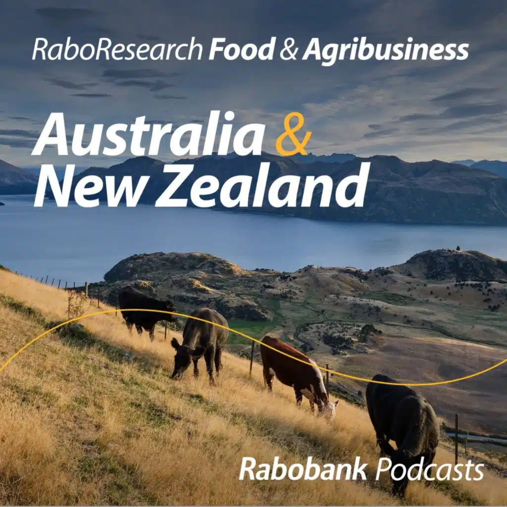 The seasonal shift shaping New Zealand dairy and livestock markets
