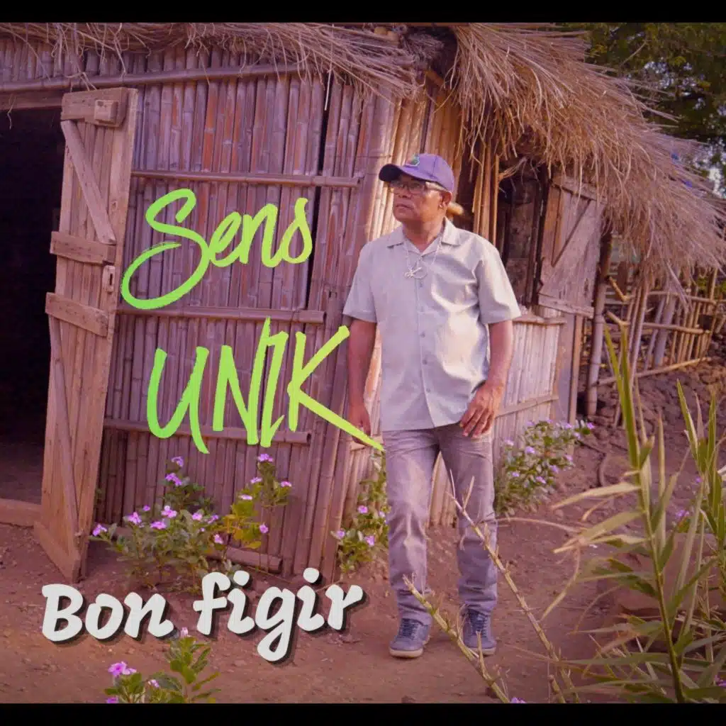 Bon figir