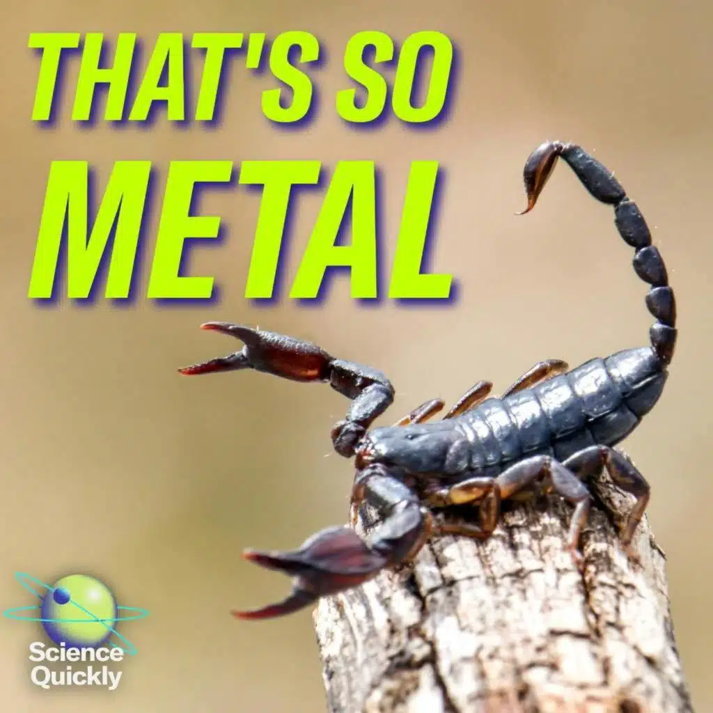 Scorpion stingers, preeclampsia hope, canceled wind farms