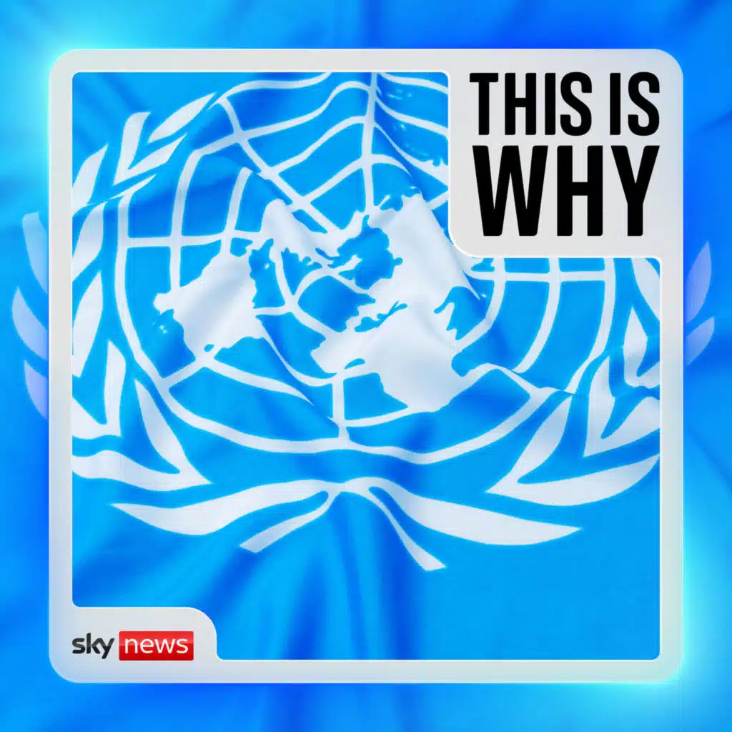 Why the United Nations is no longer fit for purpose