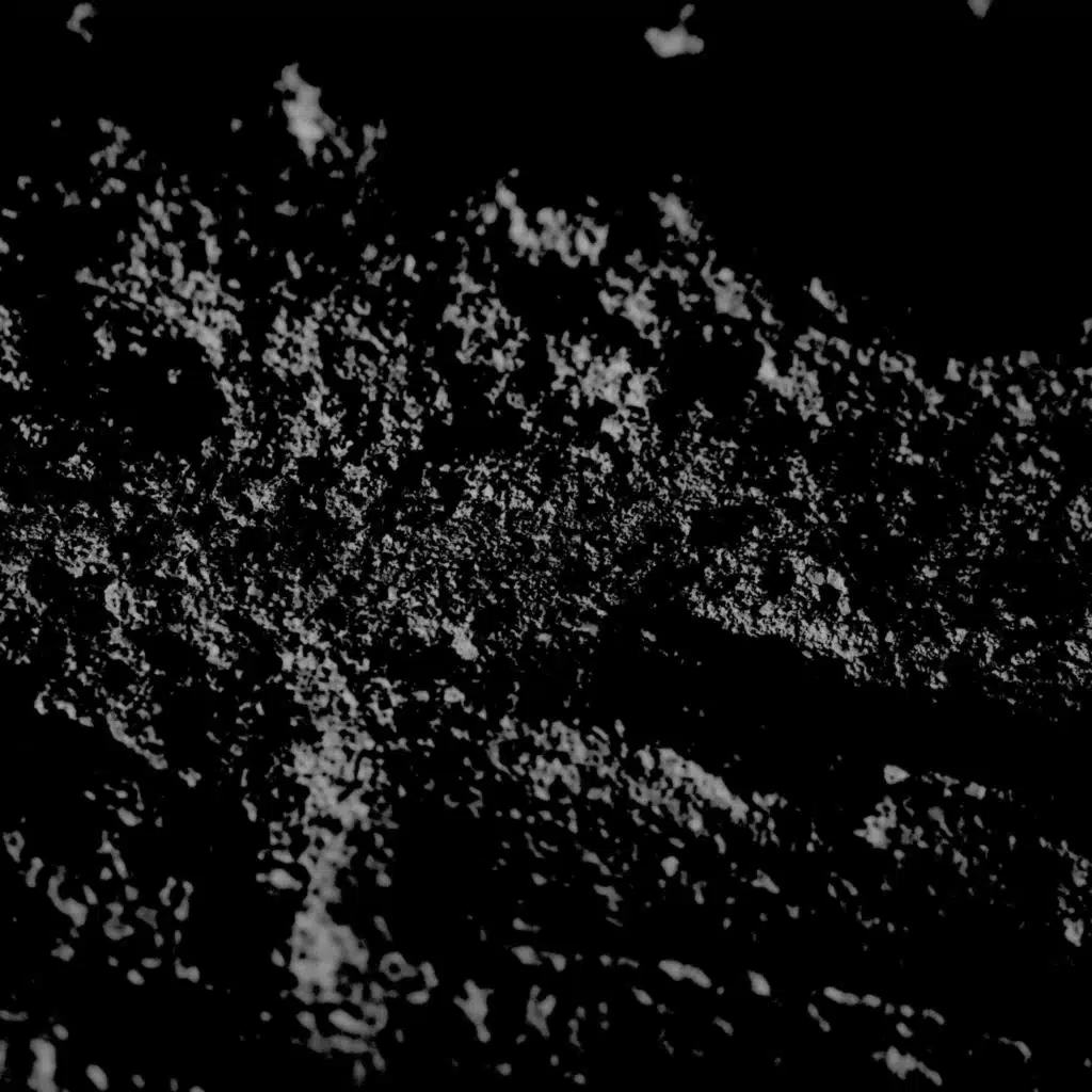 Still Frame
