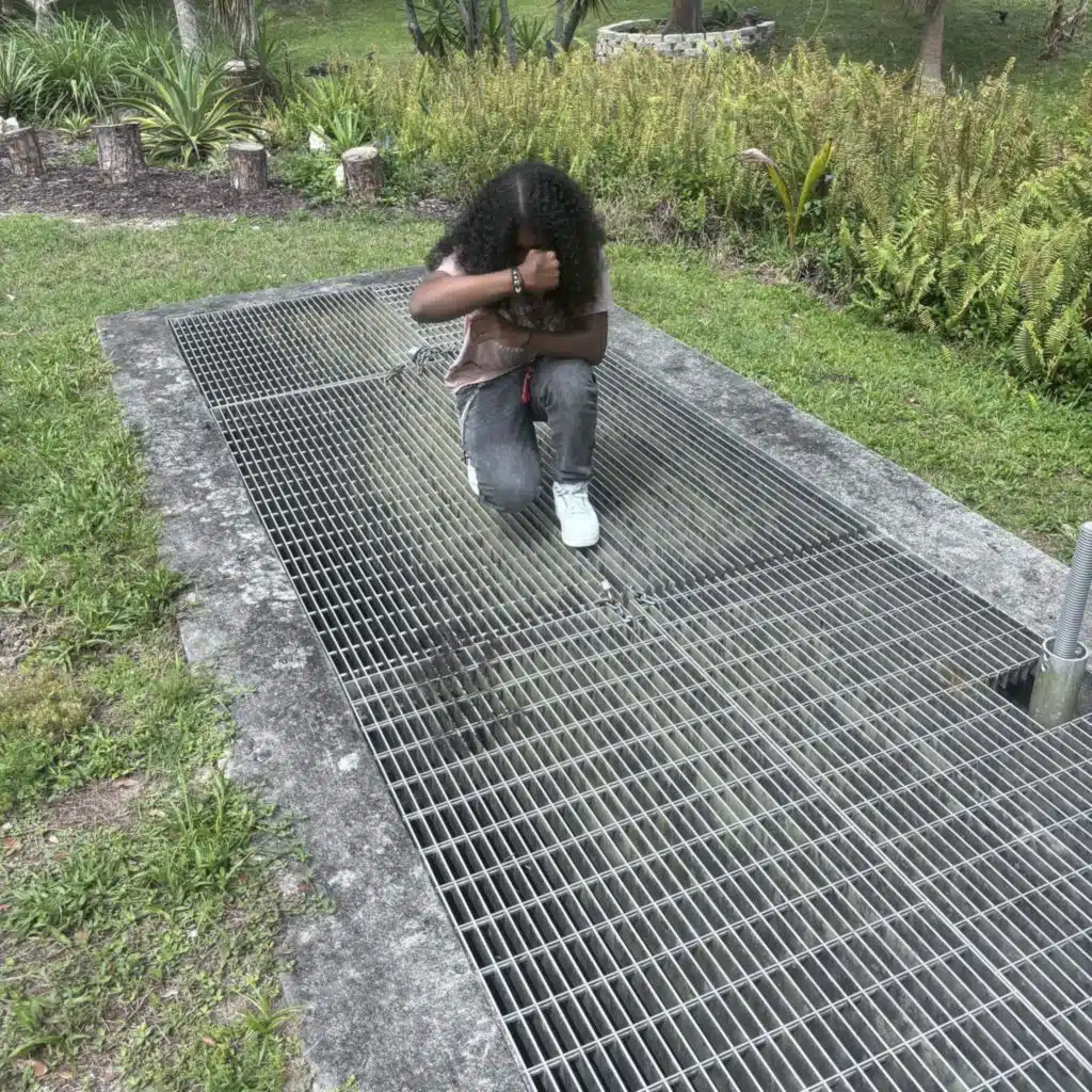 Zaé