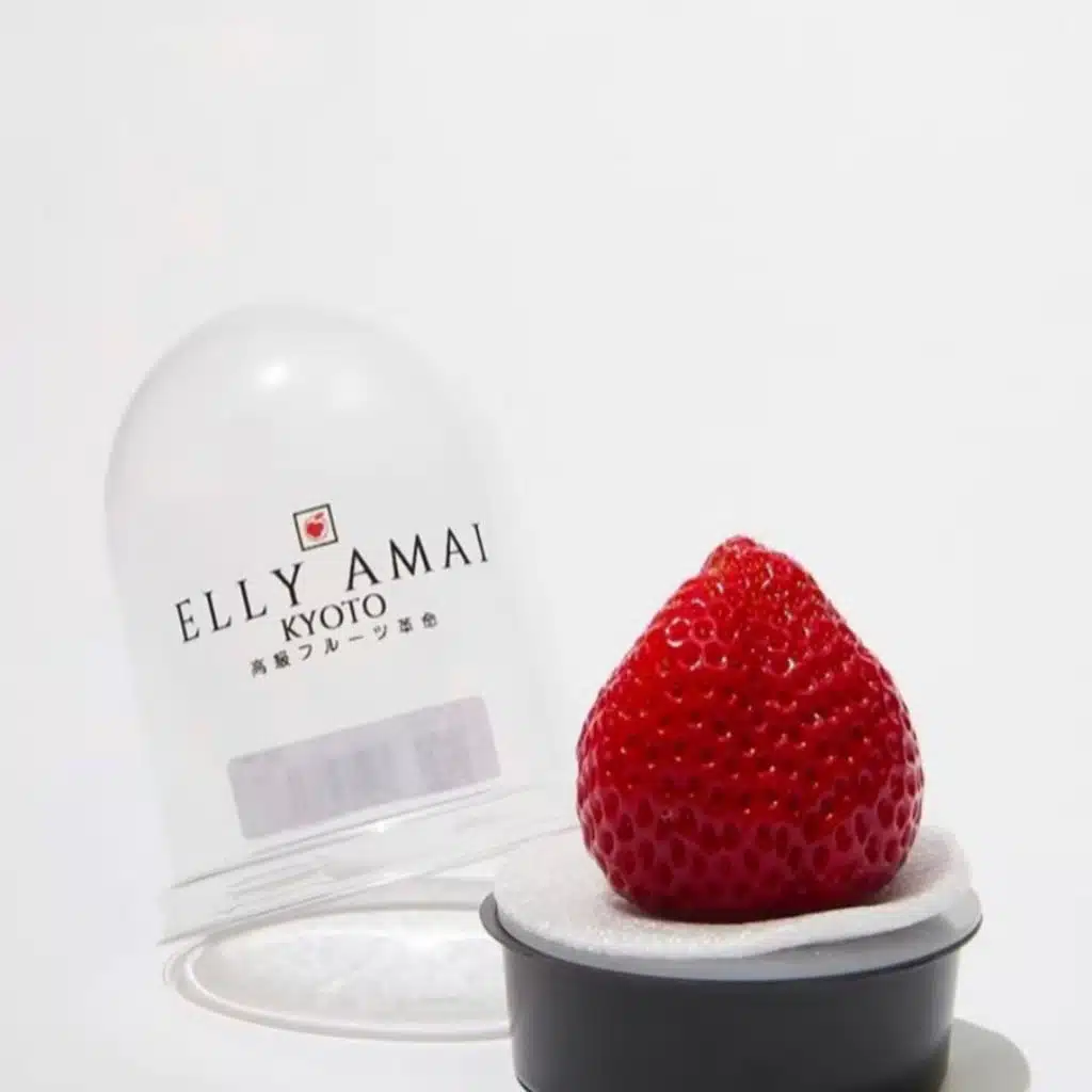 Japanese Strawberries