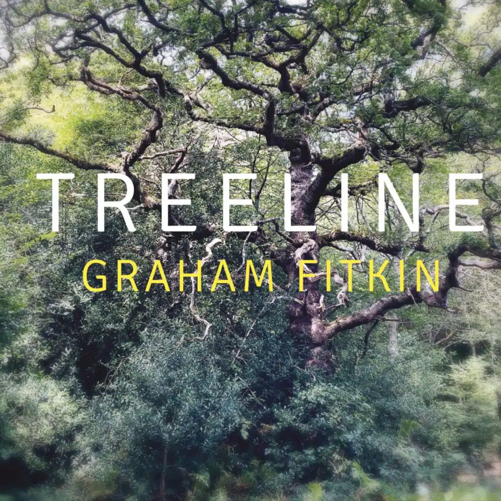 Graham Fitkin