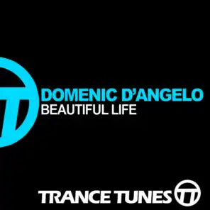 Beautiful Life (Dan Van Eijk Remix)