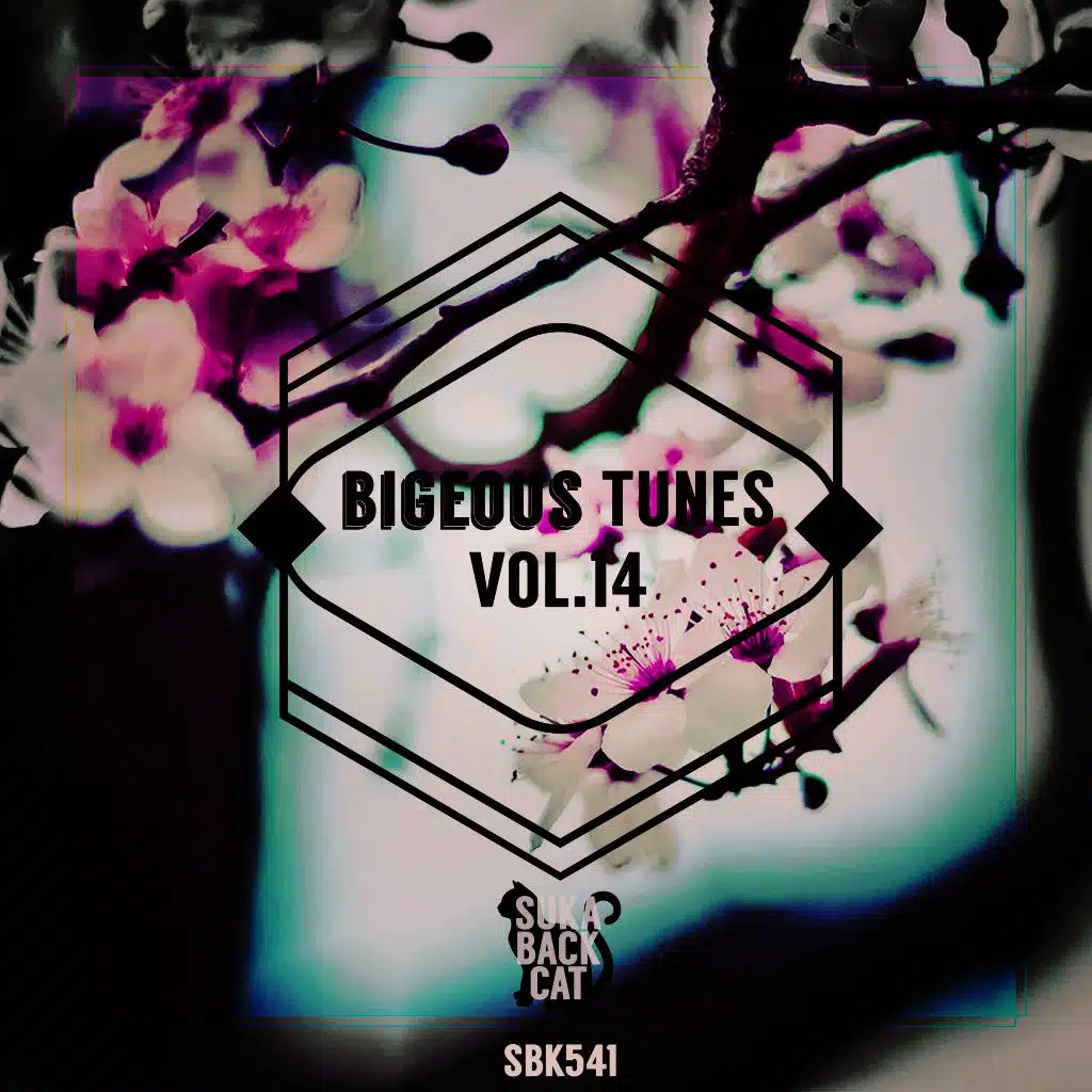 Bigeous Tunes, Vol. 14