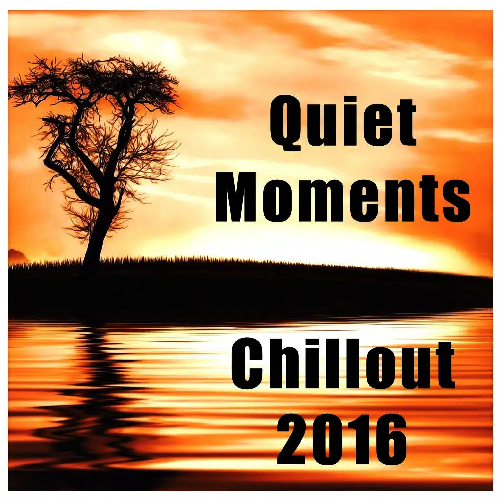 Quiet Moments: Chillout 2016