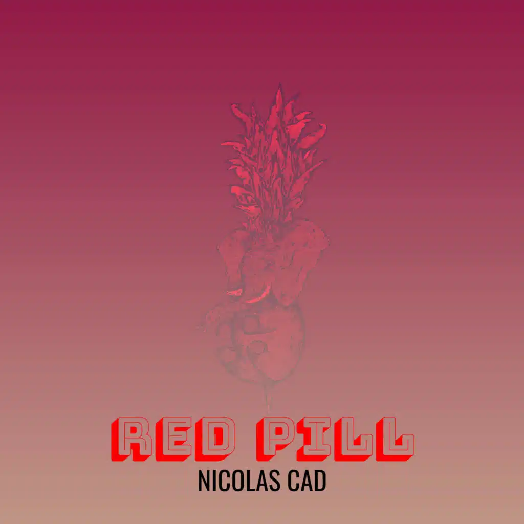 Nicolas Cad