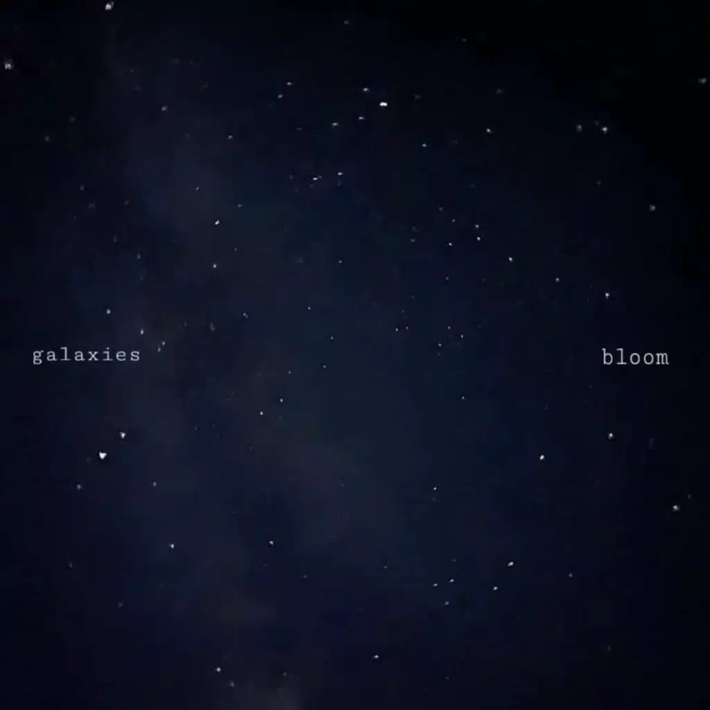Bloom