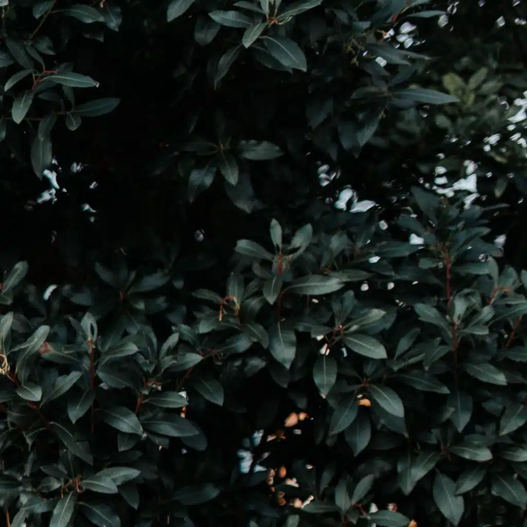 Blend EP