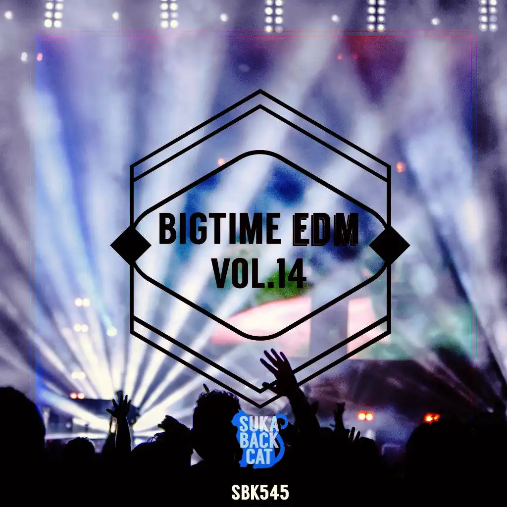 Bigtime EDM, Vol. 14