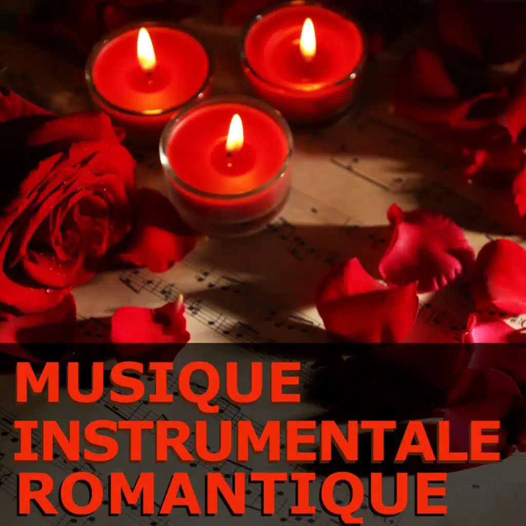 Lumière Ensemble