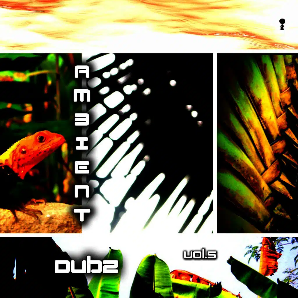 Ambient Dubz, Vol. 5