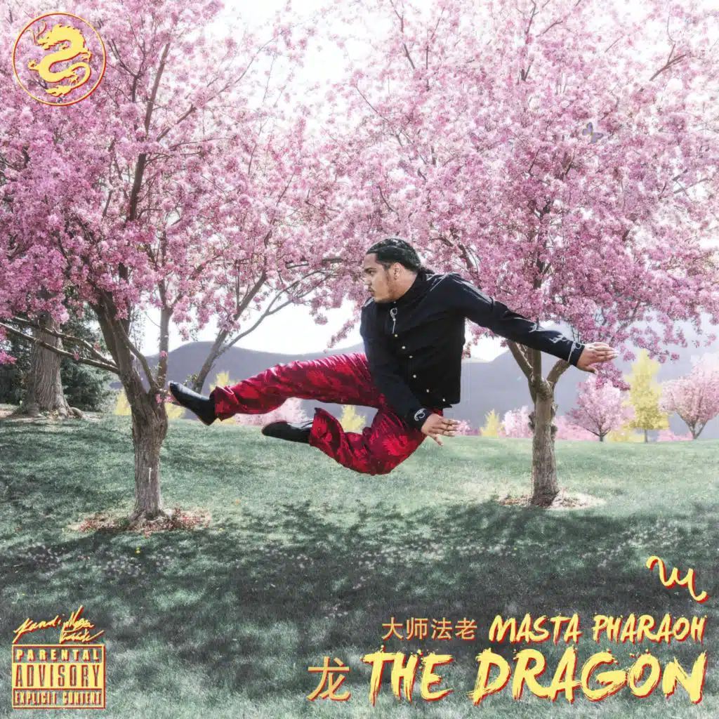 THE DRAGON