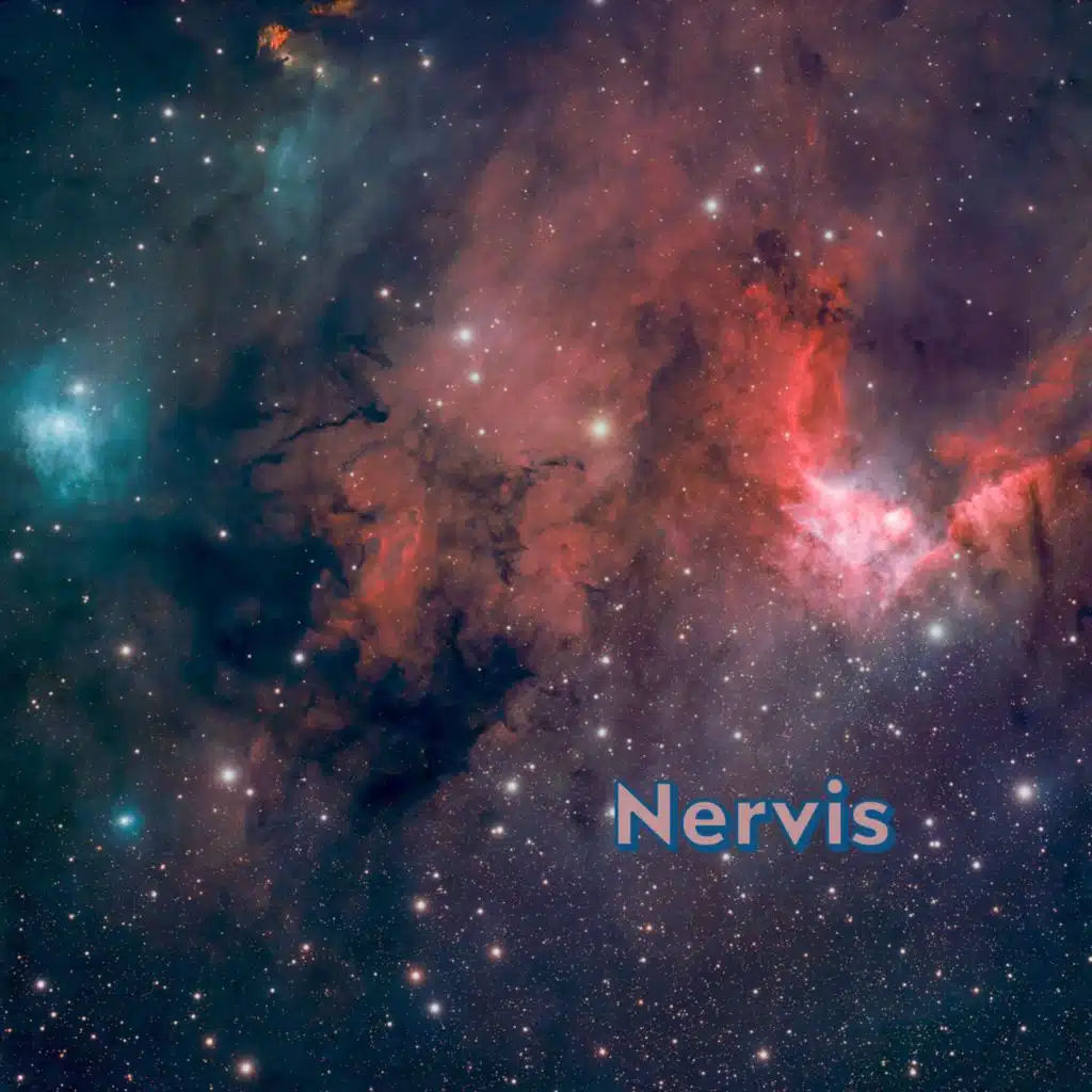 Nervis