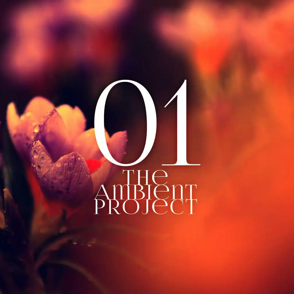The Ambient Project, Vol. 1