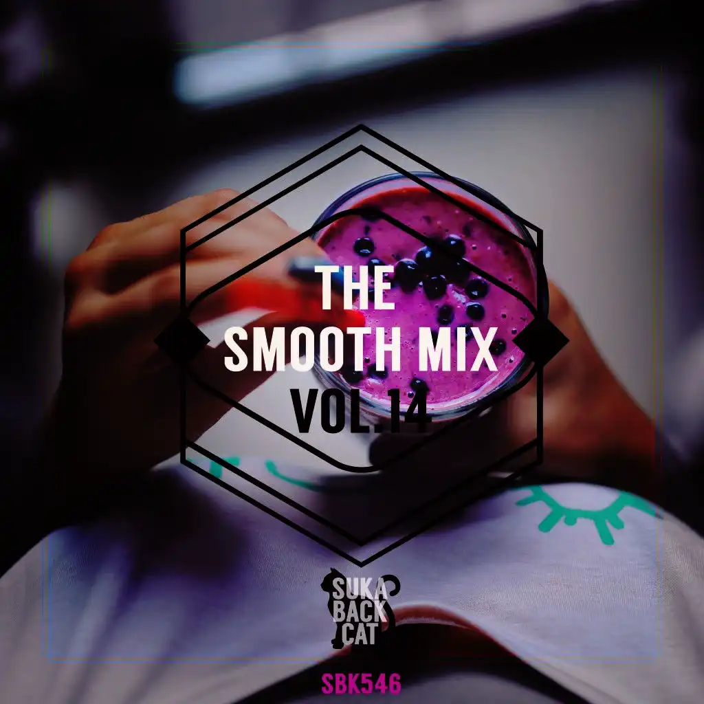 The Smooth Mix, Vol. 14