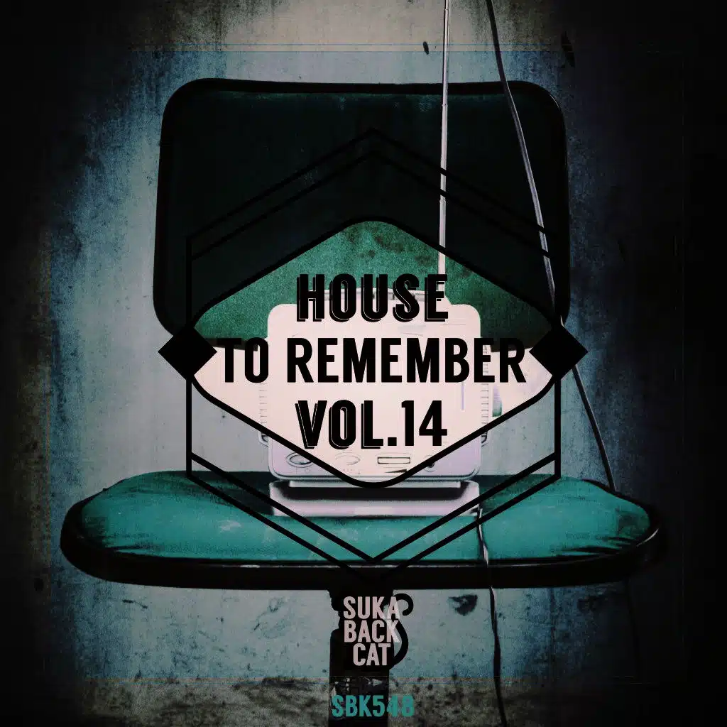 House to Remember, Vol. 14