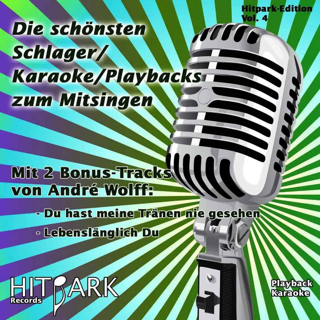 Hitpark Edition, Vol. 4