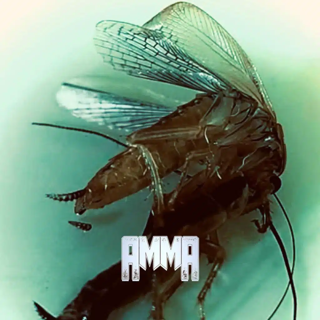 amma