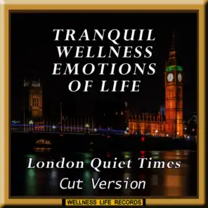 Tranquil Wellness Emotions of Life