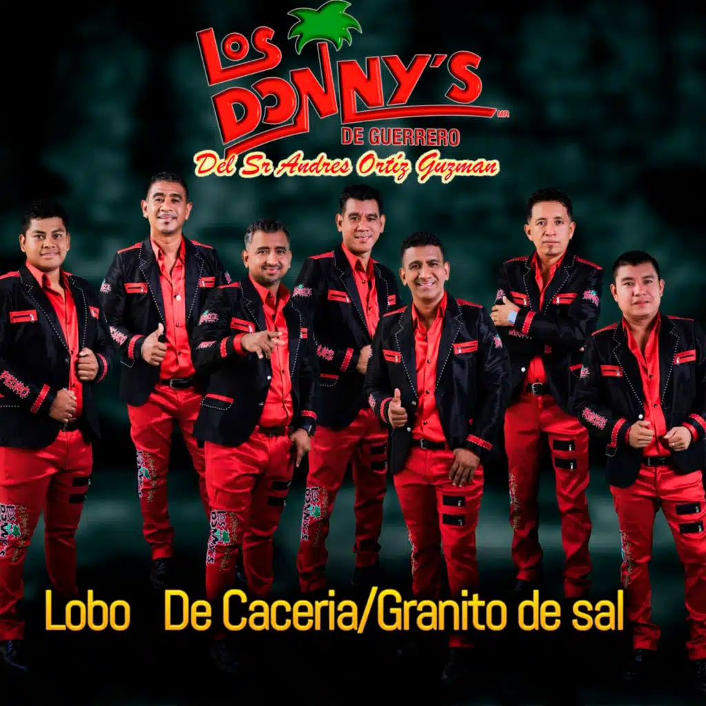 Los Donnys De Guerrero