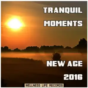 Tranquil Moments: New Age 2016