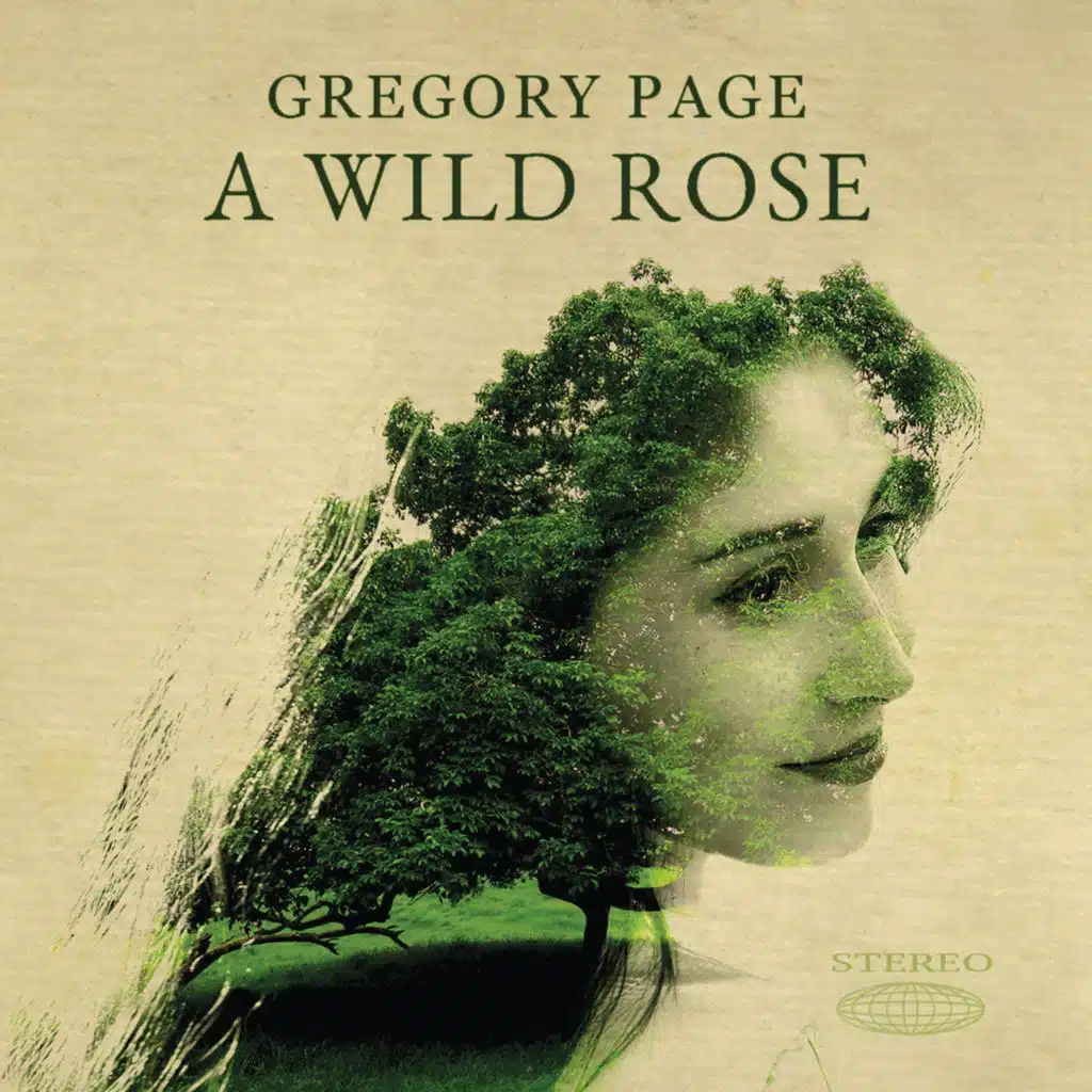 A Wild Rose