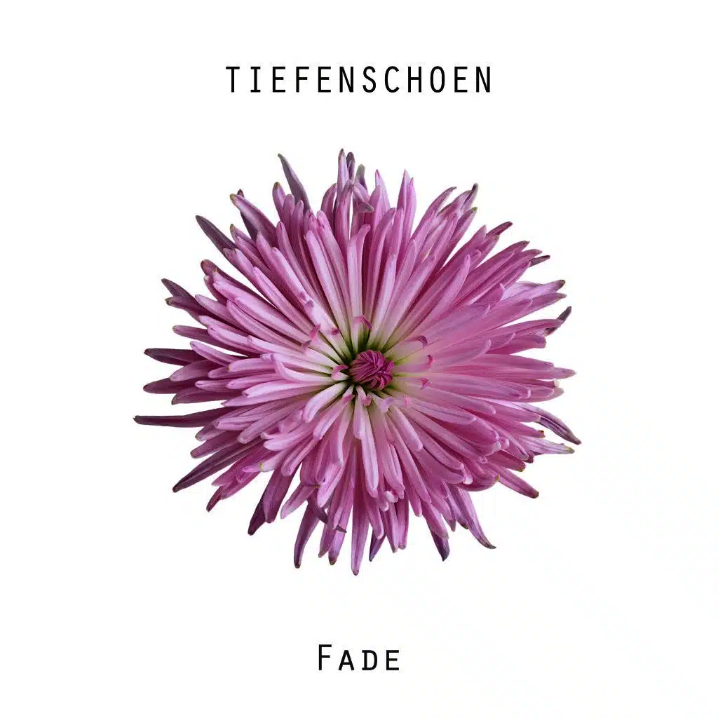 Creation (Clastic Version)