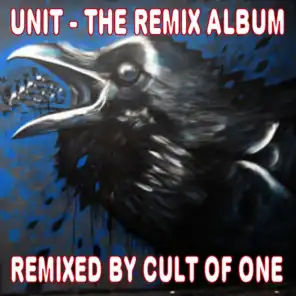 The Remix Album