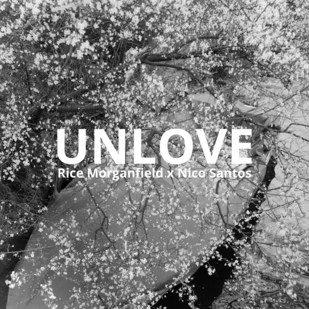 Unlove (From The Voice Of Germany) [feat. Nico Santos]