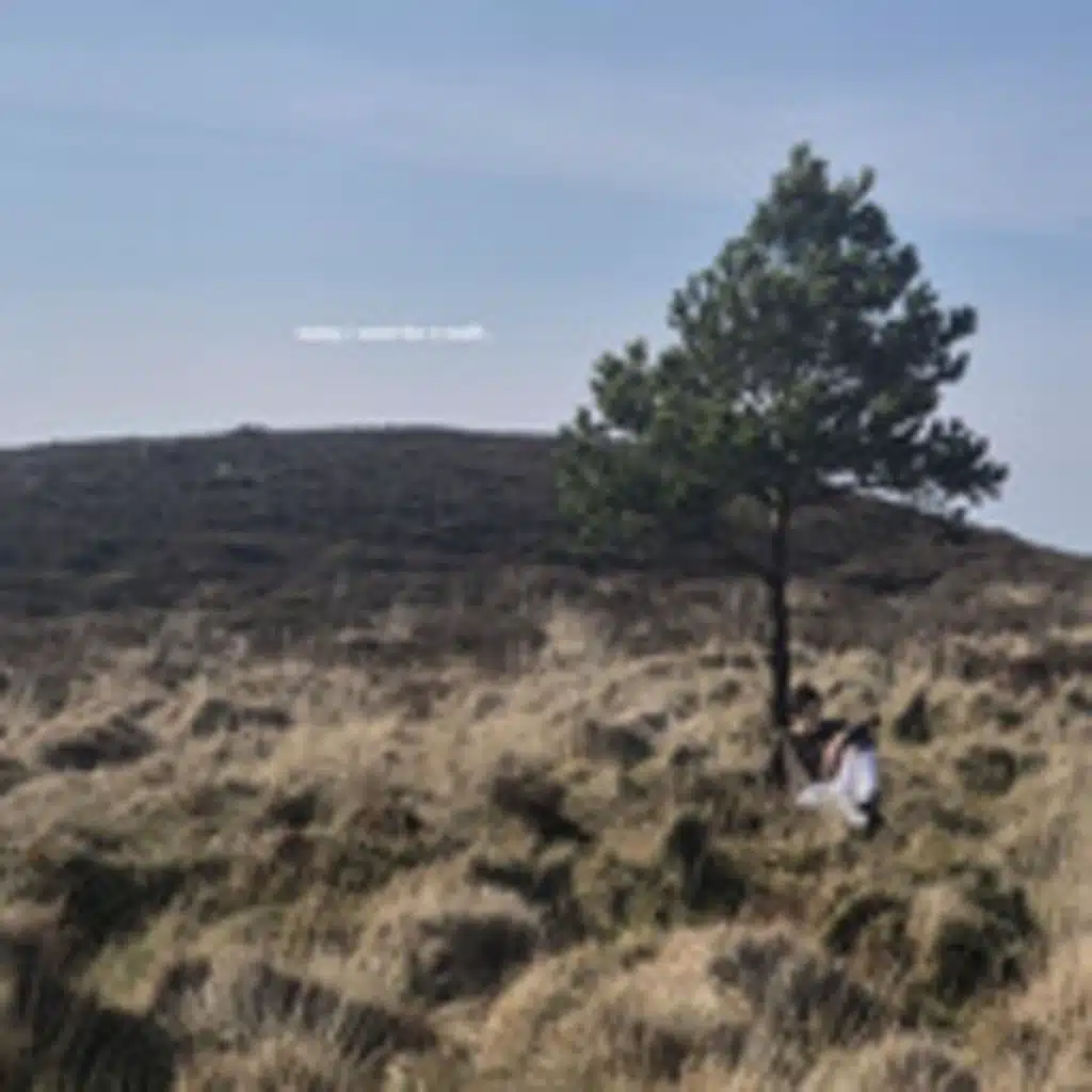 Today i went for a walk...