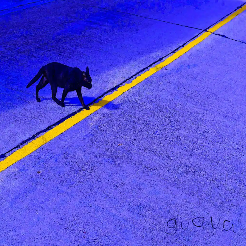 Guava