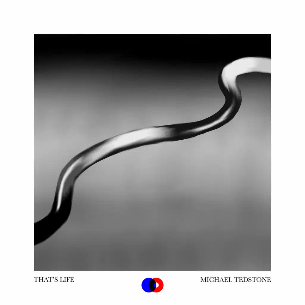 Michael Tedstone