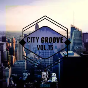 City Groove, Vol. 15