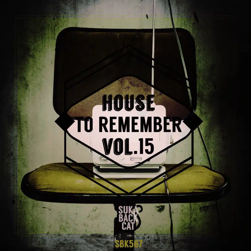 House to Remember, Vol. 15