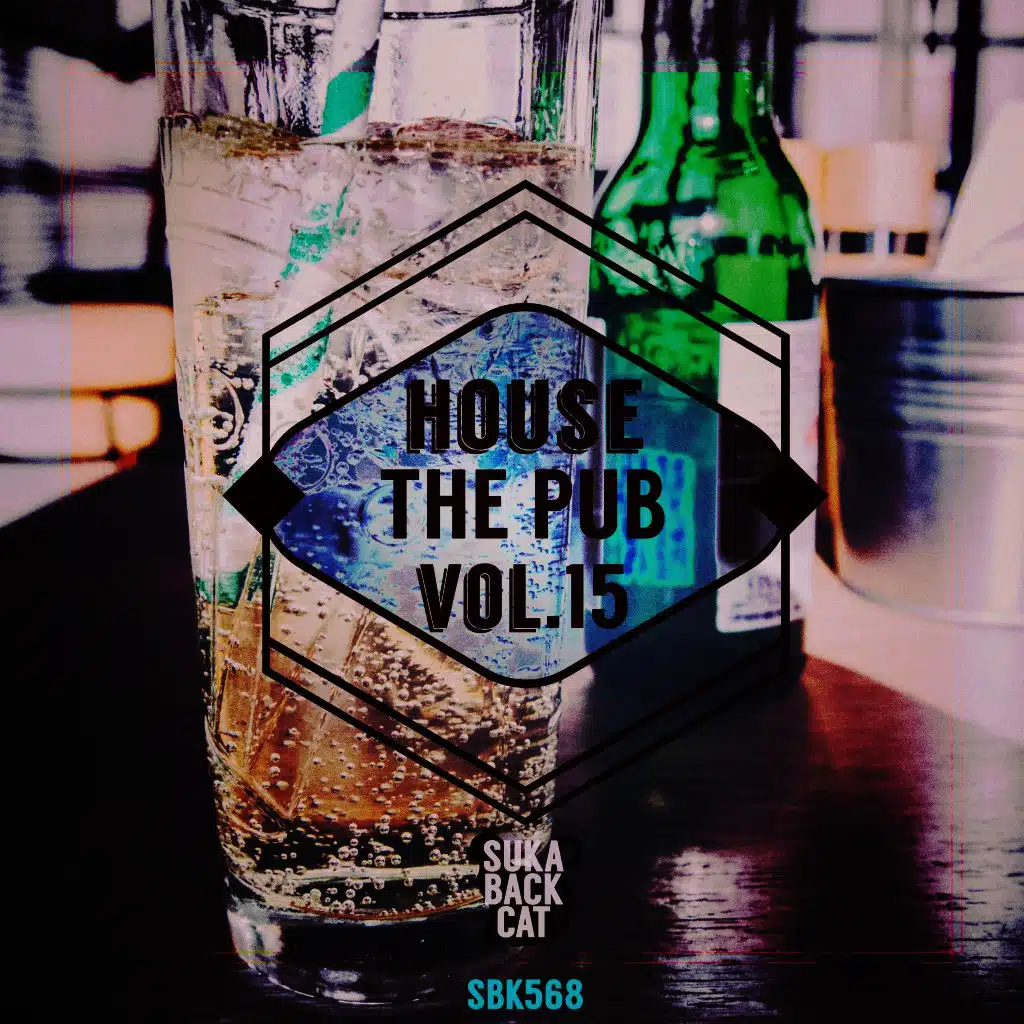 House the Pub, Vol. 15